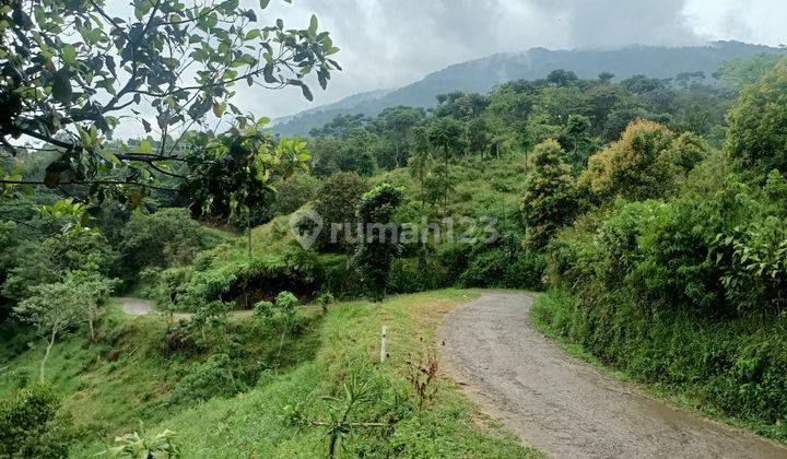 Tanah di Tajur halang 7000m² garapan ,bisa di mohon sertifikat  8