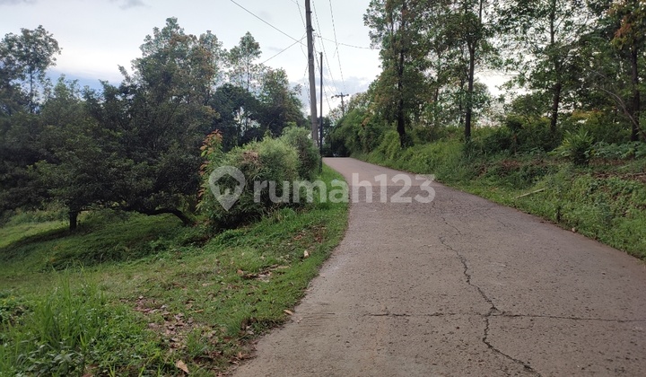 Tanah di Tajur halang 6000m² SHM akses mobil. Best view  1