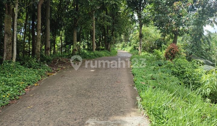 Tanah di Tajur halang 6000m² SHM akses mobil. Best view  2
