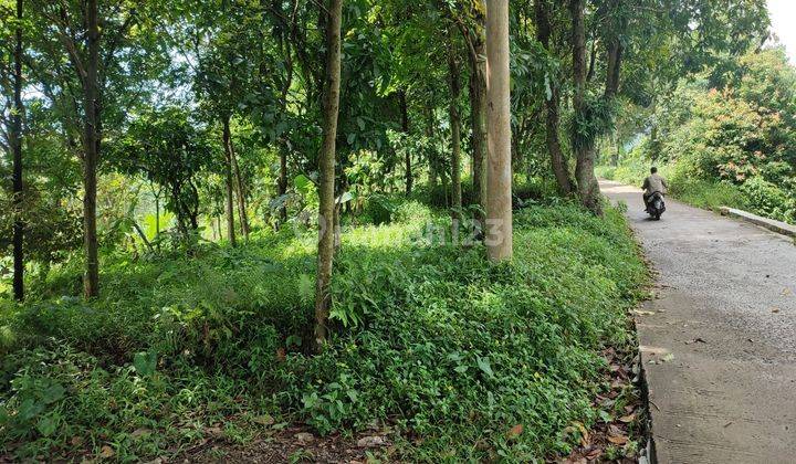 Tanah di Tajur halang 6000m² SHM akses mobil. Best view  3