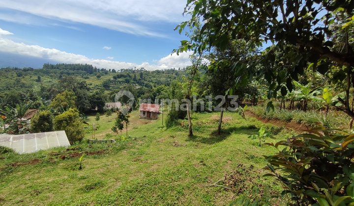 Tanah di Tajur halang 6000m² SHM akses mobil. Best view  5