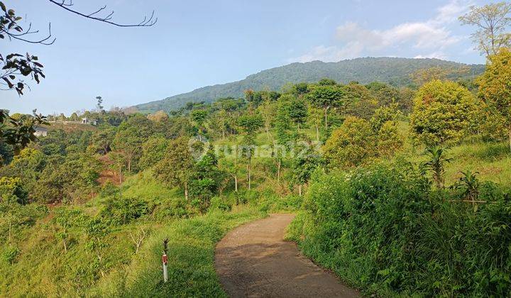 Tanah cijeruk best view keren banget SHM 2