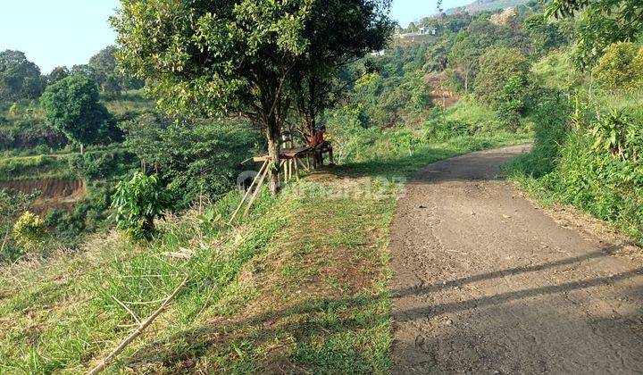 Tanah di Cijeruk 2150 SHM. Best view boja farm  1