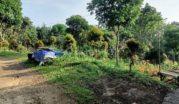 Tanah di Cijeruk 2150 SHM. Best view boja farm  9
