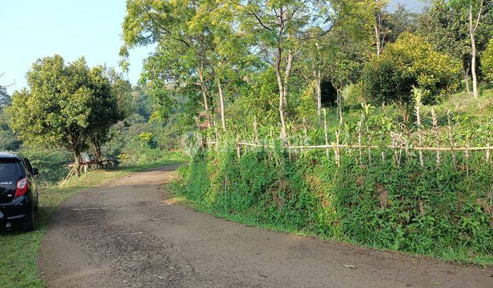 Tanah di Cijeruk 2150 SHM. Best view boja farm  10