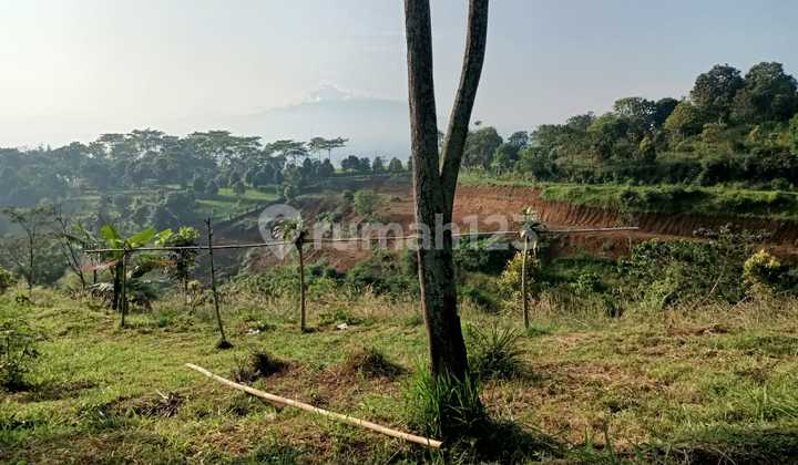 Tanah di Cijeruk 2150 SHM. Best view boja farm  14