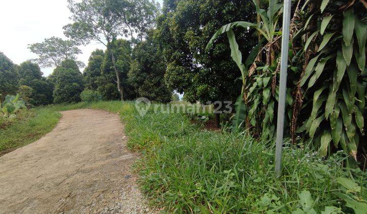 Tanah Cijeruk cocok untuk dijadikan wisata lingkungan ramai  2