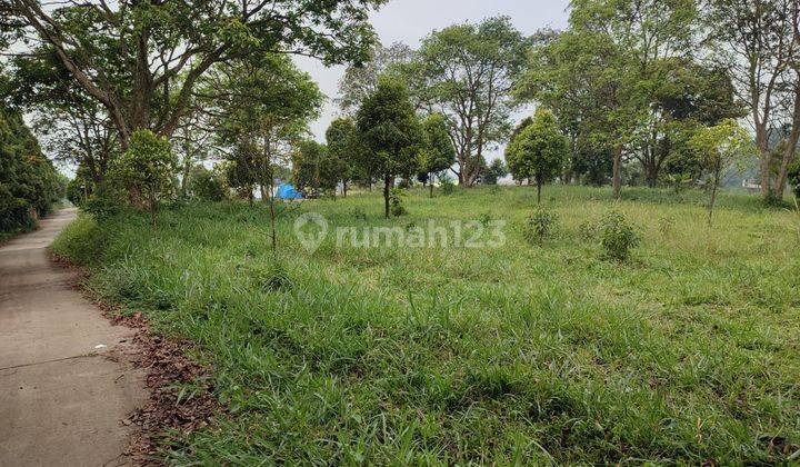 Tanah Cijeruk cocok untuk dijadikan wisata lingkungan ramai  6