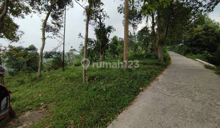 Tanah Cijeruk legal SHM akses dekat dengan kota 6