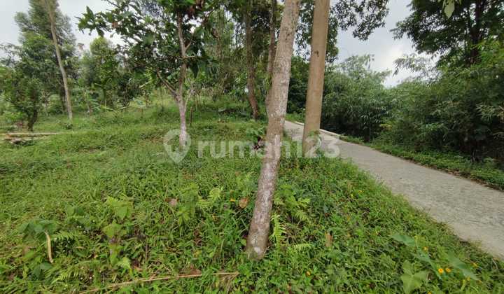 Tanah Cijeruk legal SHM akses dekat dengan kota 8