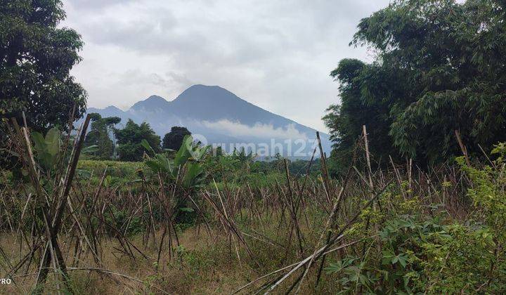 Tanah murah di bogor pinggir jalan raya Ciapus  1