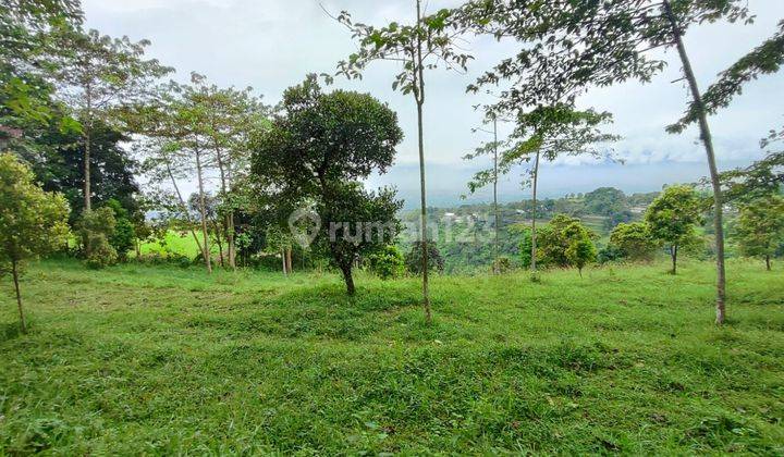 Tanah bagus di Cijeruk Tajur halang view dapet dari segala arah 2