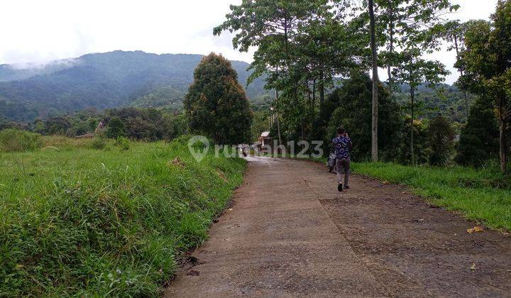 Tanah bagus di Cijeruk Tajur halang view dapet dari segala arah 1