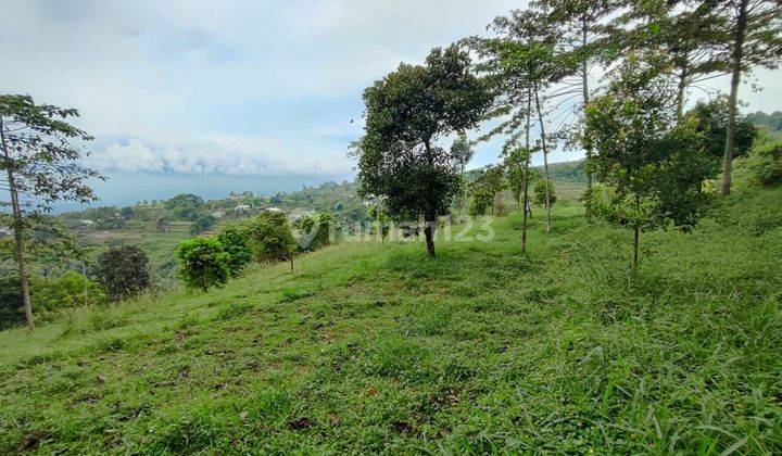 Tanah murah di Cijeruk akses mobil 6000 SHM 1