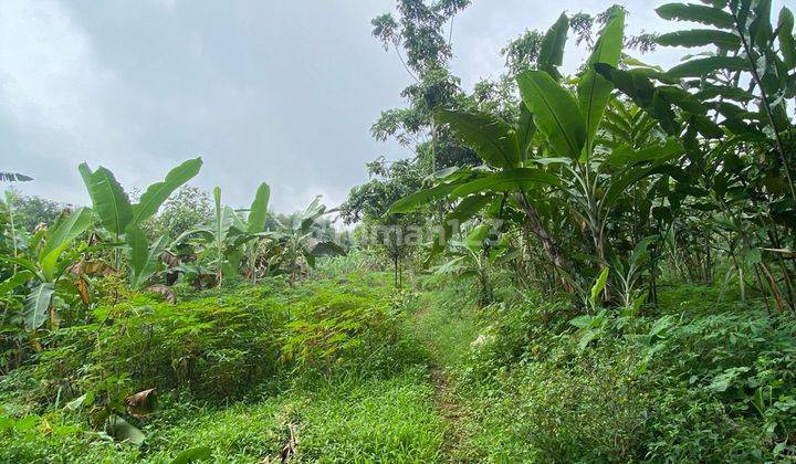 Tanah murah di Ciapus tamansari pinggir jalan raya 2