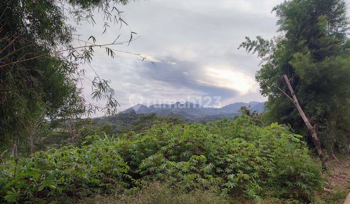 Tanah Bagus Legalitas SHM Di Sukamakmur Nih View Mantep 1