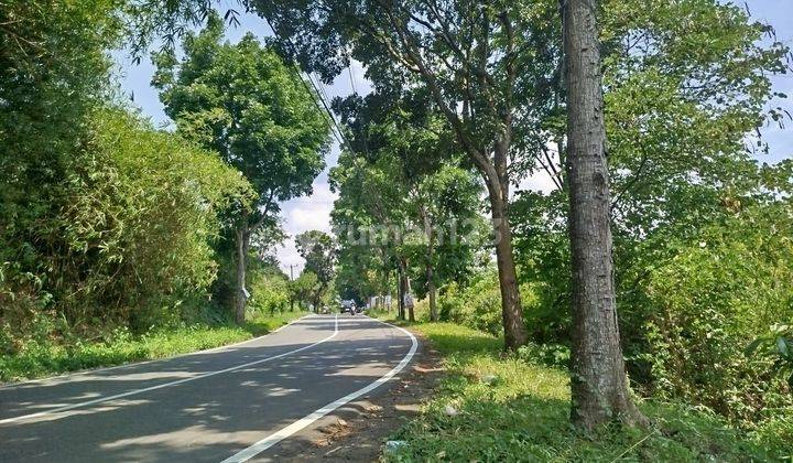 Tanah Pinggir Jalan Di Cijayanti Babakan Madang 1