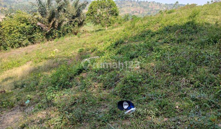 Tanah 9000m Di Pabuaran Sukamakmur Bogor 2