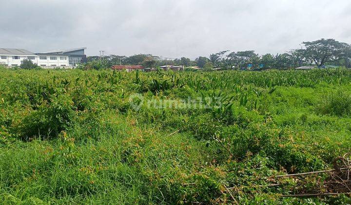 Dijual lahan 12.170m2 di Jln Gubernur H Asnawi Mangku Alam Palembang (Dekat Bandara Sultan Mahmud Badarudin 2)
 4