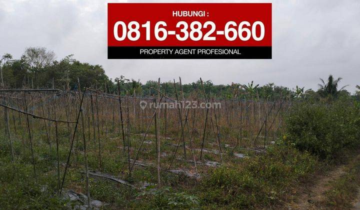 Dijual tanah 1000m2 dekat Tahu Sumedang di Lembak Muara Enim (Sebelum Prabumulih) 1