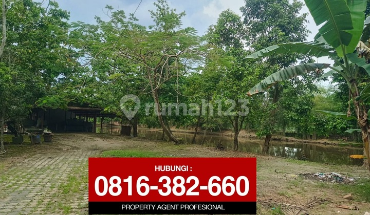 Dijual Tanah 1 Ha Sukarno Hatta Dijual Tanah 1 Ha Sukarno Hatta