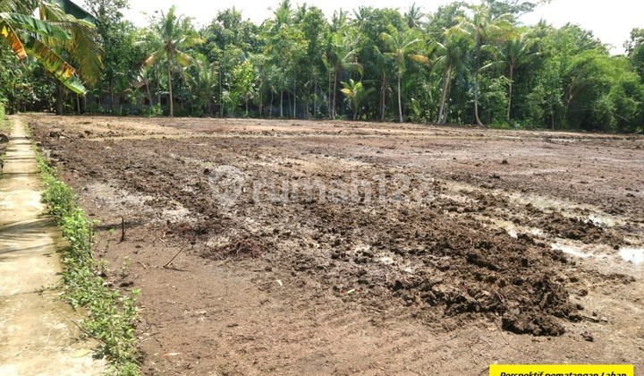 Kavling Murah 70 Jutaan Dekat Jalan Bomang. Angsur 12x 3