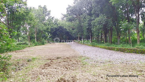 Tanah Murah Shm, Dekat Taman Buah Mekarsari, Harga Terjangkau 2