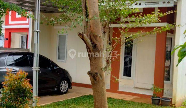 Rumah disewakan siap huni nyaman bebas banjir  1