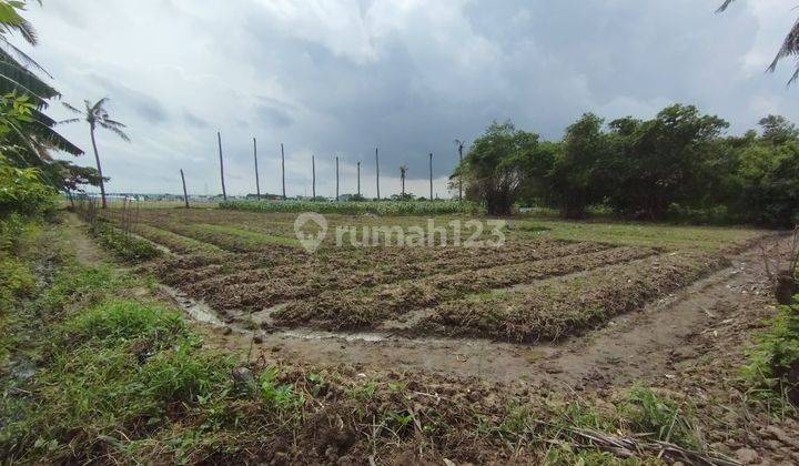 Dijual Tanah Luas di Sukamekar Sukawangi Bekasi  1