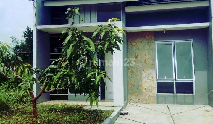 Rumah 1 Lantai Harga 400 1