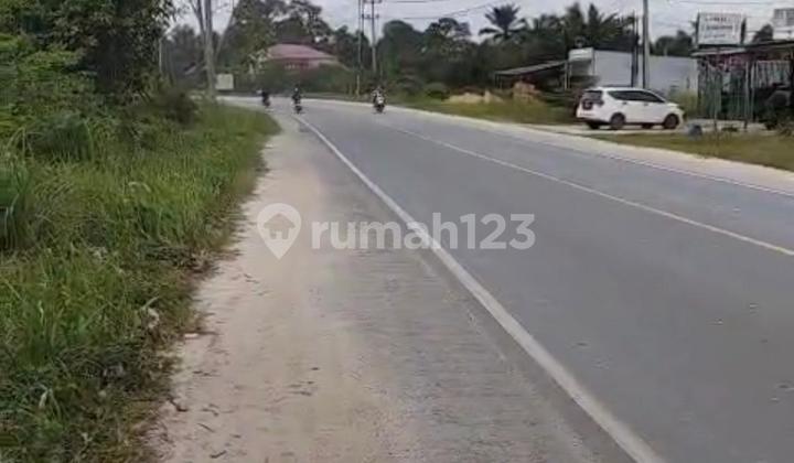 X005-1 hectare 500 meters of land to the toll road in Kandis, Siak Riau.