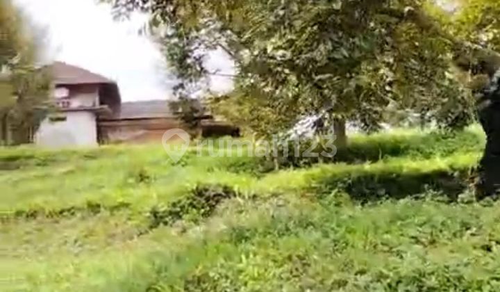 L079-Kebun Duren, Luas 6 Ha, di Bandung, Per Panen Rp 1,8M L079-Kebun Duren, Luas 6 Ha, di Bandung, Per Panen Rp 1,8M