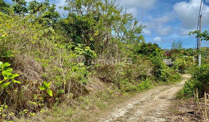 Miliki Tanah Luas Di Kawasan Jimbaran Bali 2