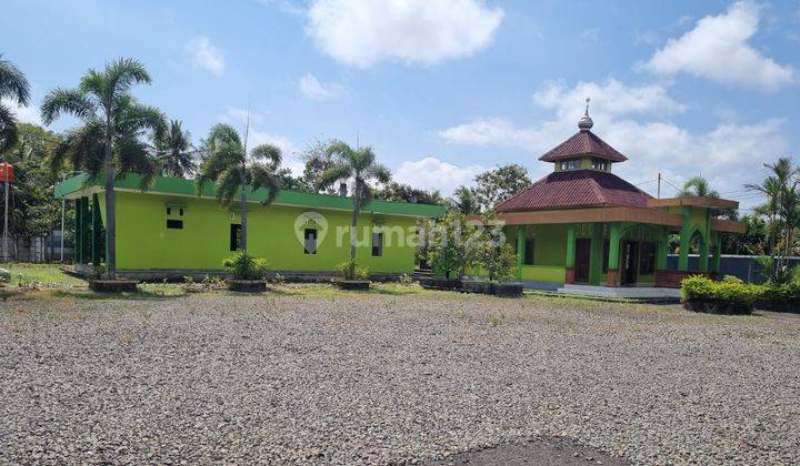 RUMAH SULTAN DIJUAL CEPAT TEPI JALAN NASIONAL PURWOREJO 3