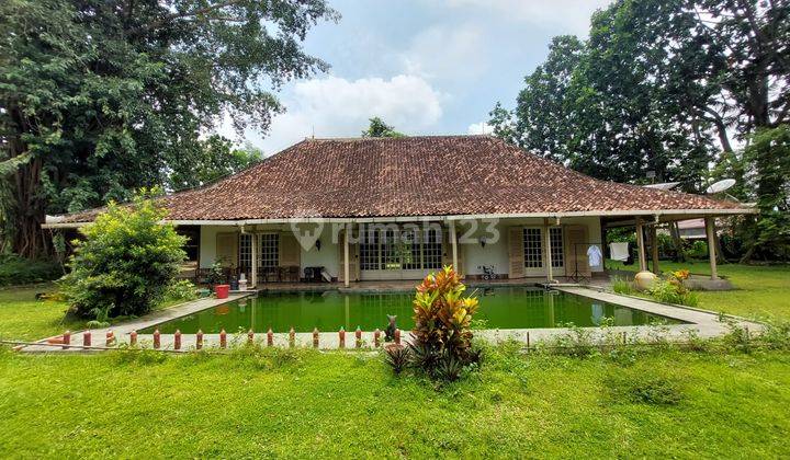 RUMAH SULTAN DIJUAL CEPAT HARGA NEGO KERAS DI YOGYAKARTA 1