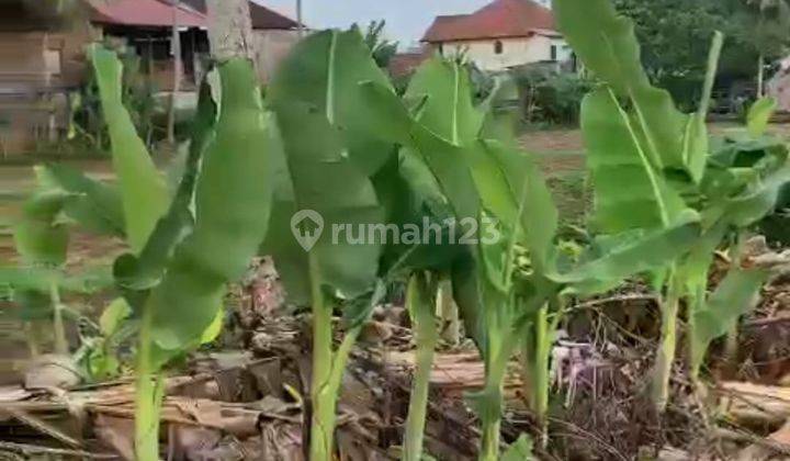 Tanah Cantik Luas Di Kawasan Mertoyudan Bandongan Magelang 2