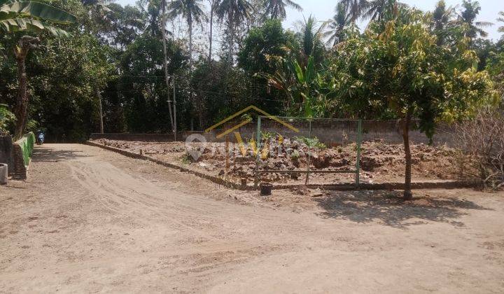 Dijual Tanah Kavling Murah Bisa Akses Mobil Simpangan Di Jogja 2