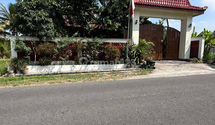 Rumah Type Joglo Full Jati Harga Nego Di Kawasan Jogja 1