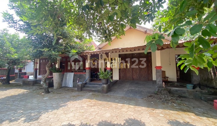 For Quick Sale: Mrs. Big House, Large Land in Kalasan 2