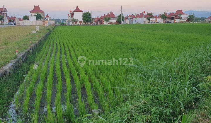 Jual Tanah Di Kawasan Bugisan Prambanan Dekat Candi Sewu 1