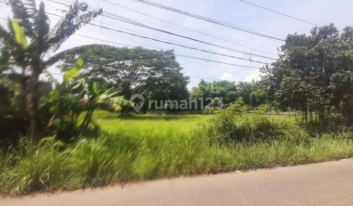 Kavling di lokasi bagus pinggir jalan cocok buat perumahan 12