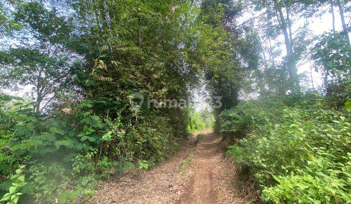 Dijual Tanah kavling luas 625m² kawasan perum joyogrand malang 4