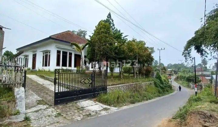 Rumah Kampung Luas Tanah 943m2 Siap Huni Tulus Besar Tumpang 1