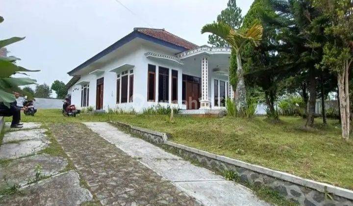 Rumah Kampung Luas Tanah 943m2 Siap Huni Tulus Besar Tumpang 2