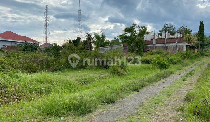 Tanah kavling murah dekat kampus UB luas 494m2 SHM ready