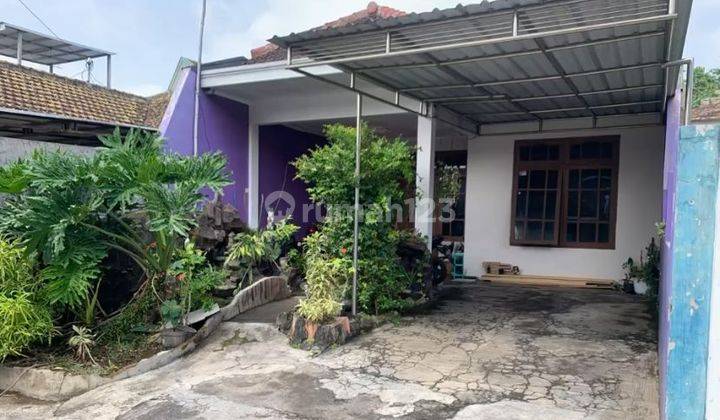 Rumah Luas 188m2 Siap Huni Area Dieng Atas Kalisongo Dau 1