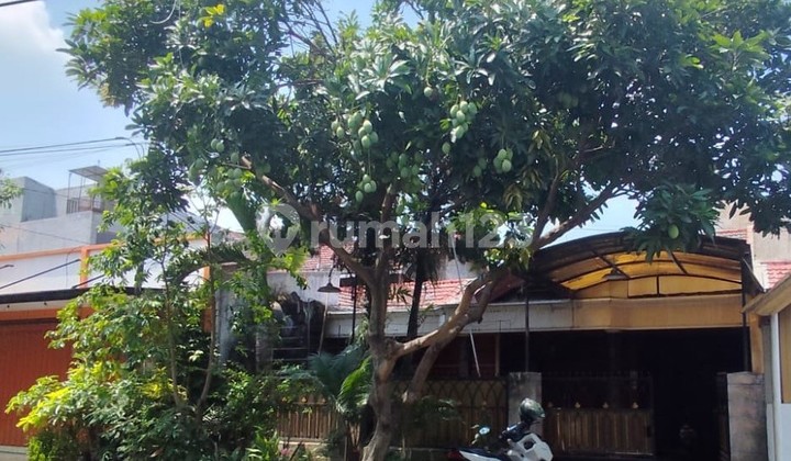 Rumah Siap Huni SHM Akses Mobil Simpangan Strategis di Sawojajar 