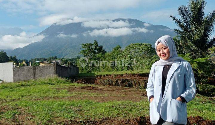 Tanah Kavling Dipuncak Bogor Taman Safari 4