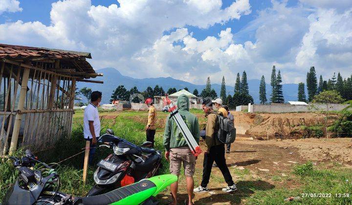 Tanah Kavling Dipuncak Bogor Taman Safari 9