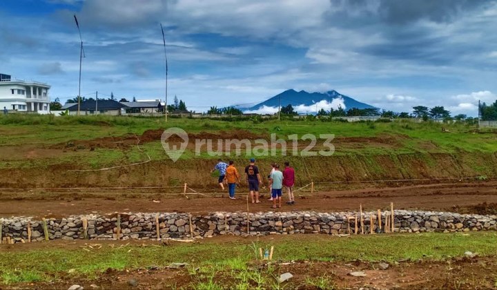 Tanah Kavling Dipuncak Bogor Taman Safari 11